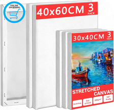 Stretched Canvas for Painting