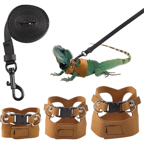 Bearded dragon harness - bearded,