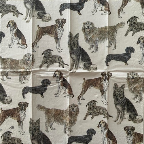 Paper napkins 21x21 for - paper,