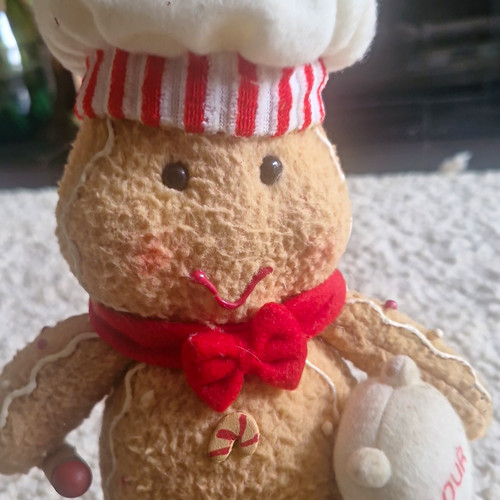 Collection chef teddy bear - teddy,