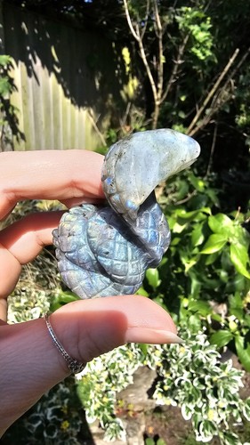 Labradorite cobra snake - cobra,