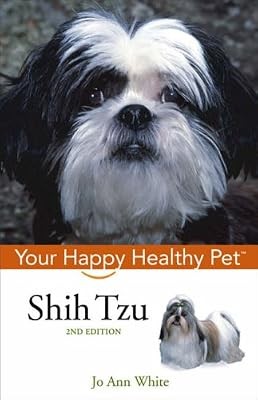 Shih tzu - shih, healthy