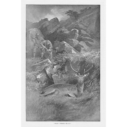 Deer stalking shall - deer,