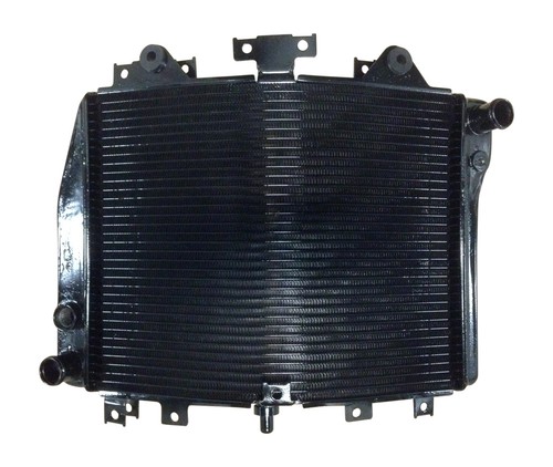 Kawasaki 2002 2003 - kawasaki, 2005