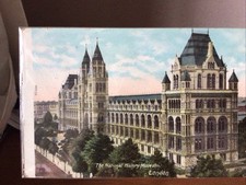 The National History Museum