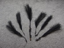 Antique Feather hat decoration or fan