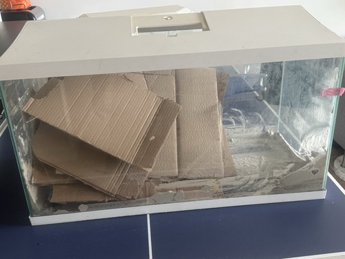 Fish tank for sale - tank, +