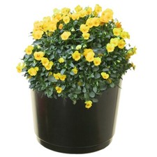 28cm Garden Tomato Plant Pot Black Plastic Planter Pots With Drainage Holes