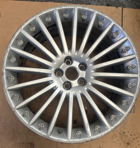 Jaguar 5 stud - jaguar,