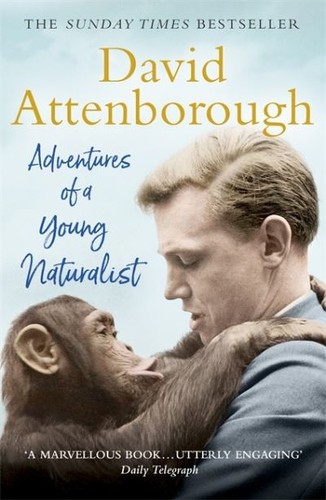 Adventures young - adventures,