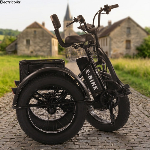 Off road electric cargo - off-road, trike