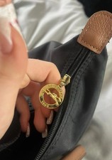 Longchamp Bag With Organiser