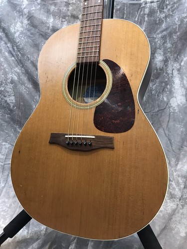 Seagull coastline acoustic - coastline, s6