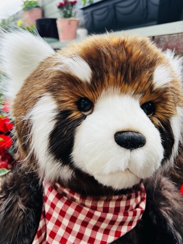 Charlie bears tomoko long - bears,