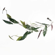 Artificial hanging plant - artificial,
