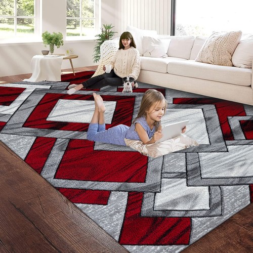 Extra large area - area, rugs