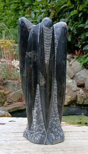 Freestanding orthoceras fossil - orthoceras,
