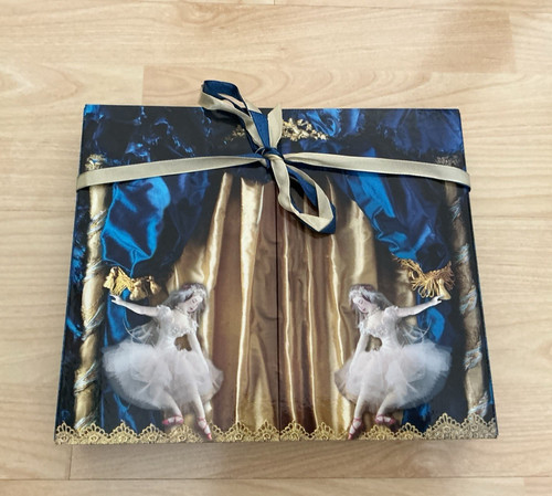 Swan lake paper theatre - swan,