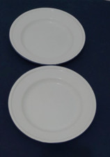 2 LARGE VINTAGE ENAMEL PLATES WHITE WITH BLUE RIMS 260mm DIAMETER