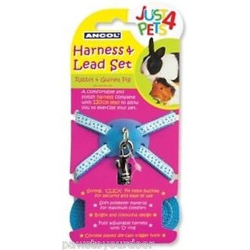 Ancol blue rabbit guinea pig - rabbit, &