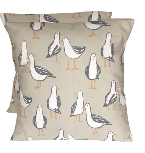 Studio laridae taupe - studio,
