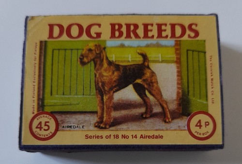 Vintage dog breeds - vintage,
