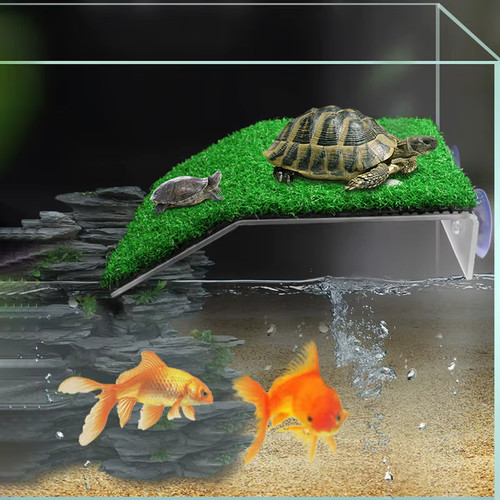 Turtle basking platform - turtle,