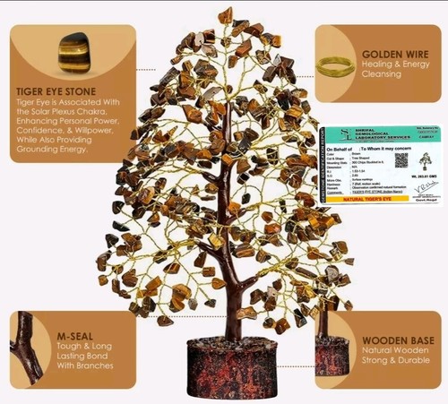 Tiger eye tree - eye, life