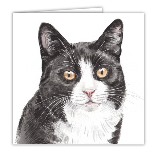 Black white cat card - black, x