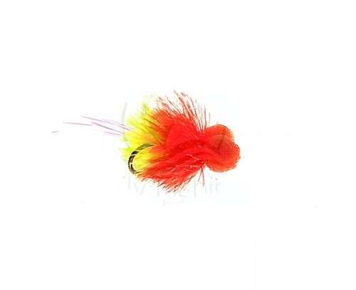 Tequila sunrise booby - 3,