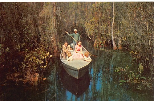 Ware county okefenokee swamp - county,