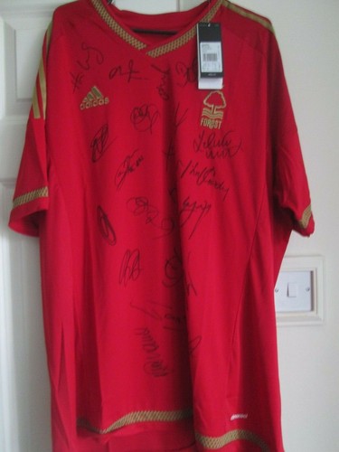 Nottingham forest 2015 2016 - nottingham,