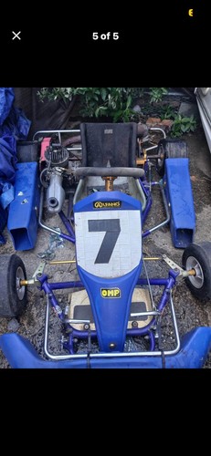 Racing cart - racing, go