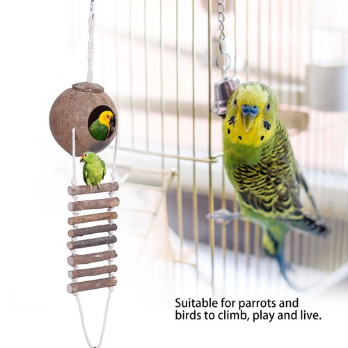 Coconut shell bird breeding - coconut,