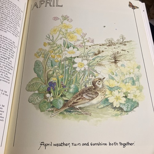 The country diary - diary, of