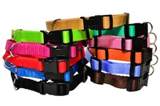 DOG COLLARS Nylon Webbing Clip