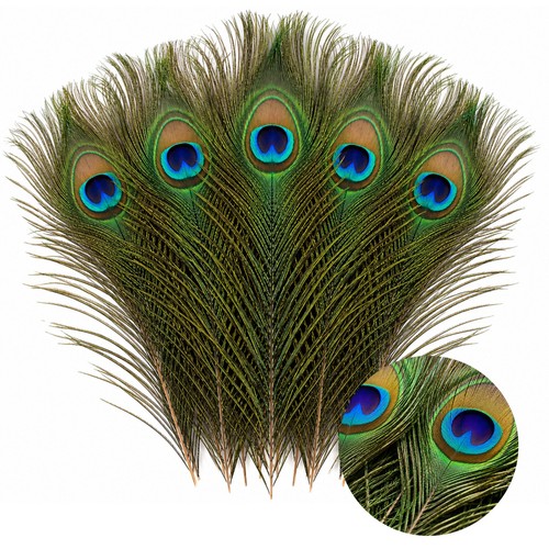 80cm long natural peacock - long,