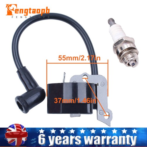 Ignition coil module - ignition,