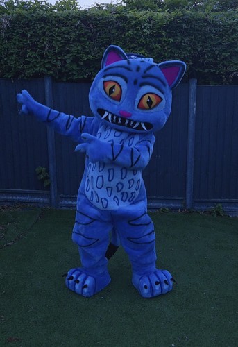 Derpy kpop style cat mascot - kpop,