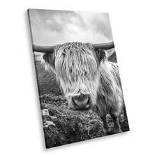 A743 Highland Cows Black White Animal Portrait Canvas Picture Print Wall Art