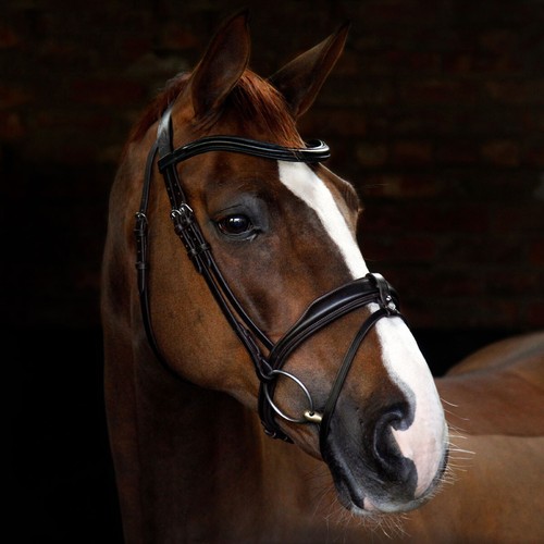 Cottage craft flash bridle - flash,