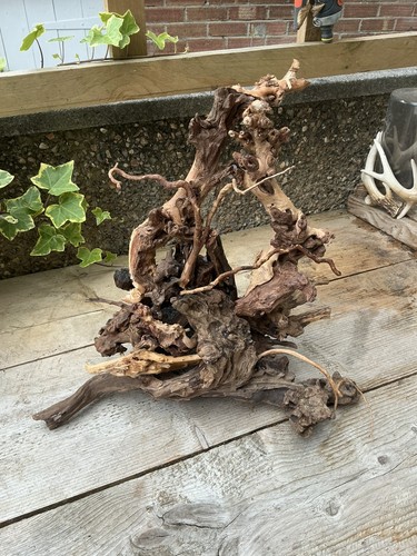 Aquarium driftwood handcrafted - aquarium,