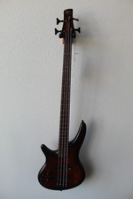 Brand New Ibanez Standard