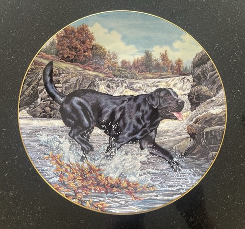 Royal doulton dogs action - doulton, in