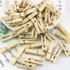 Mini Pegs Natural Wooden Craft