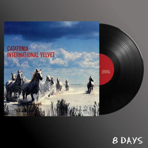 Catatonia international - -,