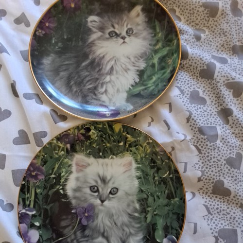 Franklin mint fine - mint,