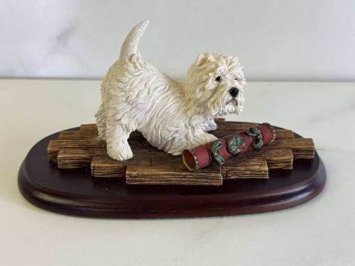 Westie west highland - highland, terrier