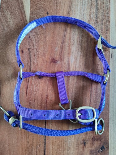 Monty roberts dually halter - roberts,