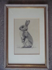 Portrait Cute Little Rabbit or Hare.  Nicholas Raison Original vintage  Drawing